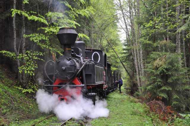 Locomotiva de fabricaţie maghiară în pădurea de la Comandău