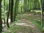 DSCF6435.JPG