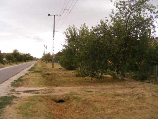 A Mezőcsokonya-Felsőnyíres kisvasúti vonal a mai járda és az út között vezetett. Mezőcsokonya, Táncsics utca.