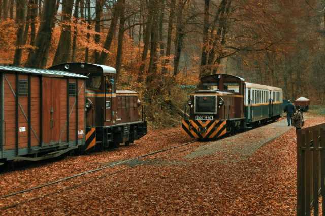 Sárguló falevél fotótehervonat Garadnára 2016-11-05