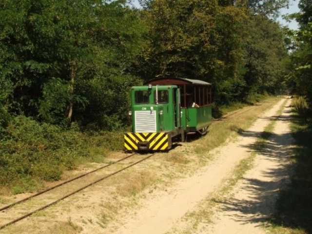 Kilátás egy vadlesről, ezúttal vonat-vadászat közben.