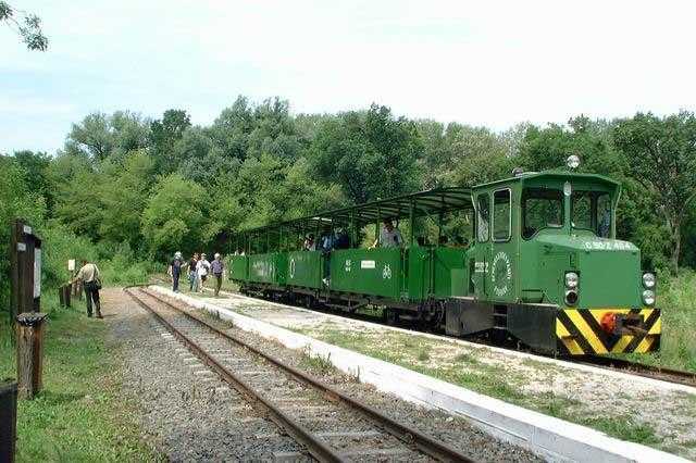 A C50Z-404 pályaszámú mozdony Bárányfokon a 31923 sz. járat indulása előtti percekben